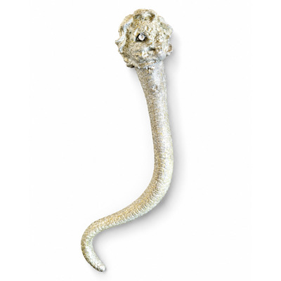 Dracontopode 2, Diego Azzola