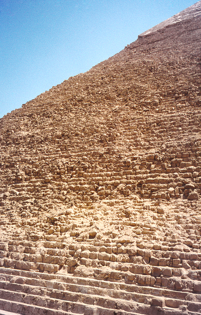 Egypt, Flowers, Palms (20th–21st centuries) Series: EFP 1/1 ***** Serie Egitto, Fiori, Palme (XX–XXI secolo): EFP 1/1, Anna Linda Knoll